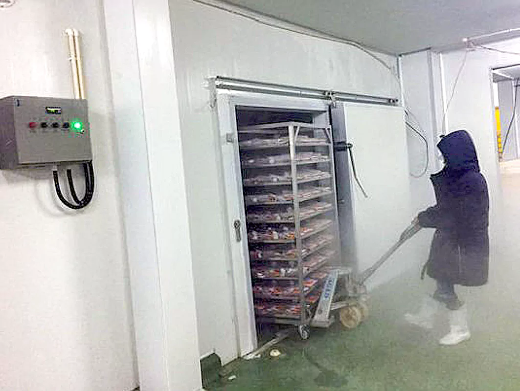 Chicken and poultry cold storage image 3