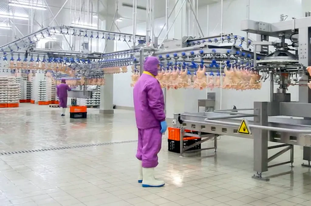 Chicken and poultry cold storage image 5