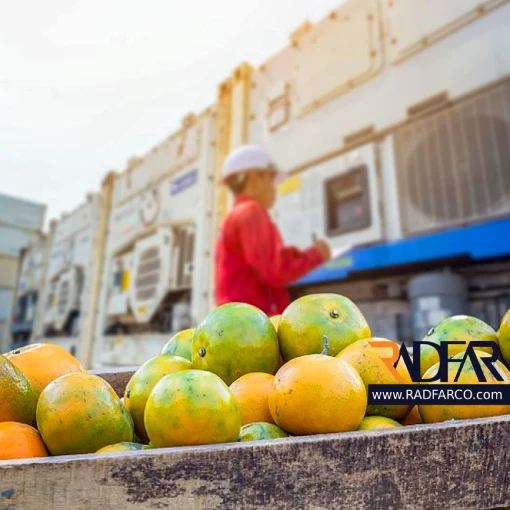 سردخانه مرکبات