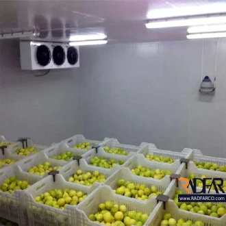 Citrus cold storage image 4