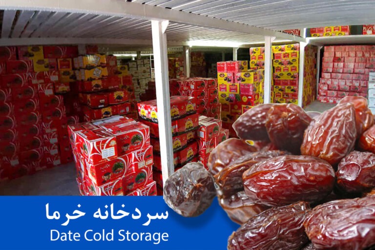 Date cold storage img 1