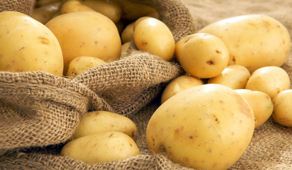 آشنایی با انواع سردخانه تخصصی سیب زمینی و نکات مهم برای نگه داری - شرکت رادفر
