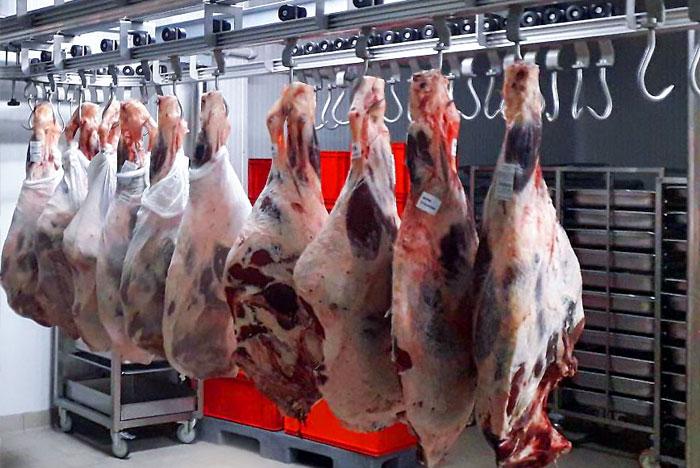 مراحل انتقال گوشت به سردخانه گوشت