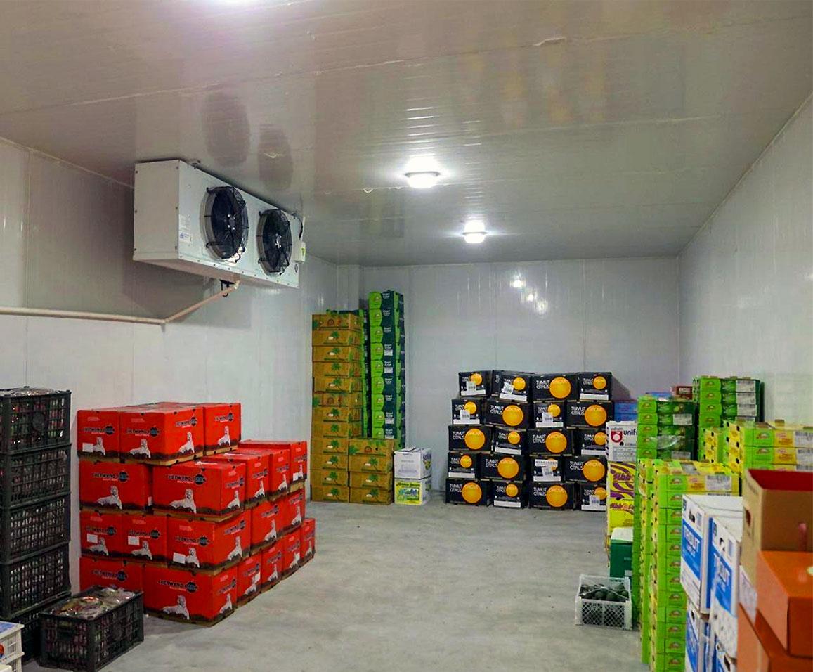 عکس سردخانه تخصصی انار-4