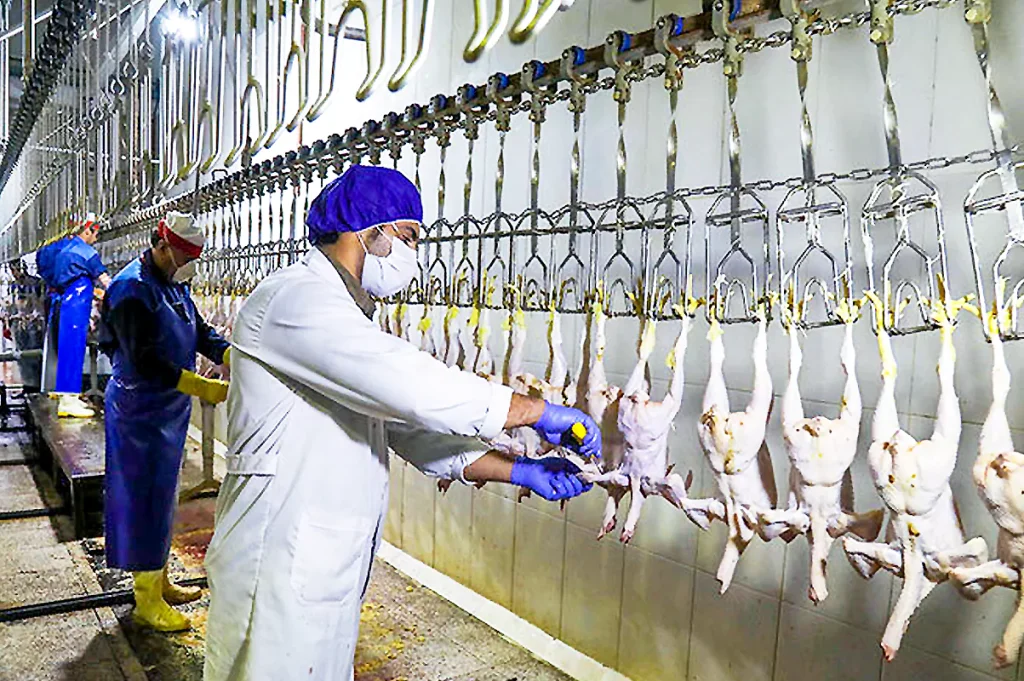 Poultry cold storage pre processing unit image