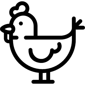 The temperature of specialized chicken cold storage icon