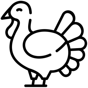 The temperature of specialized turkey cold storage icon