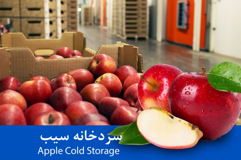 سردخانه میوه نگهداری سیب
