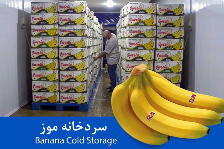 banana cold storage img