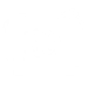 boiler logo 1