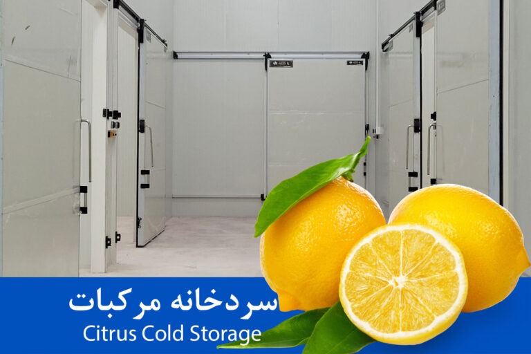 سردخانه مرکبات