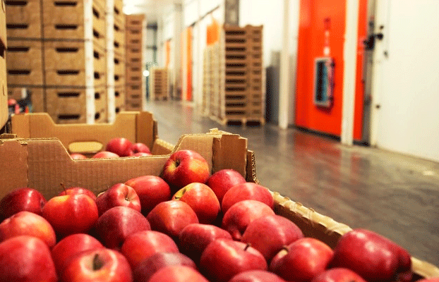 سردخانه کنترل اتمسفر نگهداری سیب