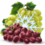 grape ico