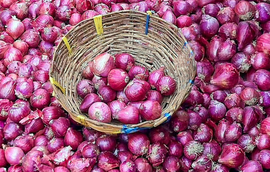 onion cold storage 4