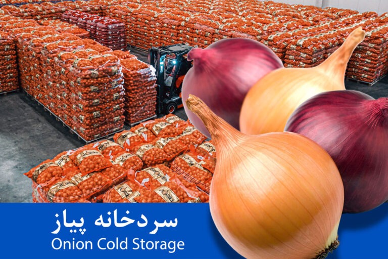onion cold storage img