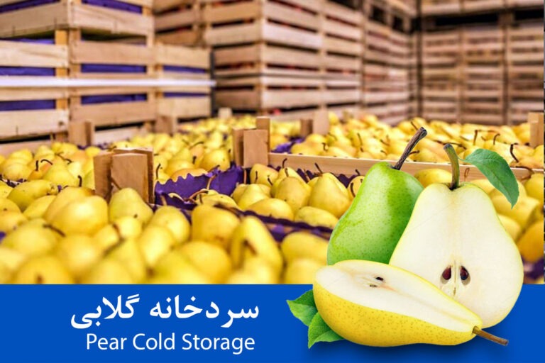 سردخانه میوه نگهداری گلابی