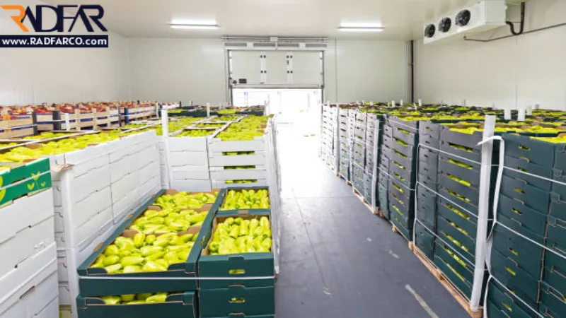 مزایای نگهداری میوه در سردخانه 3 نگهداری میوه در سردخانه