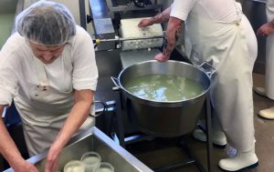 pizaa cheese production line gallery 07