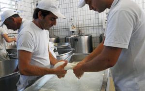 pizaa cheese production line gallery 09