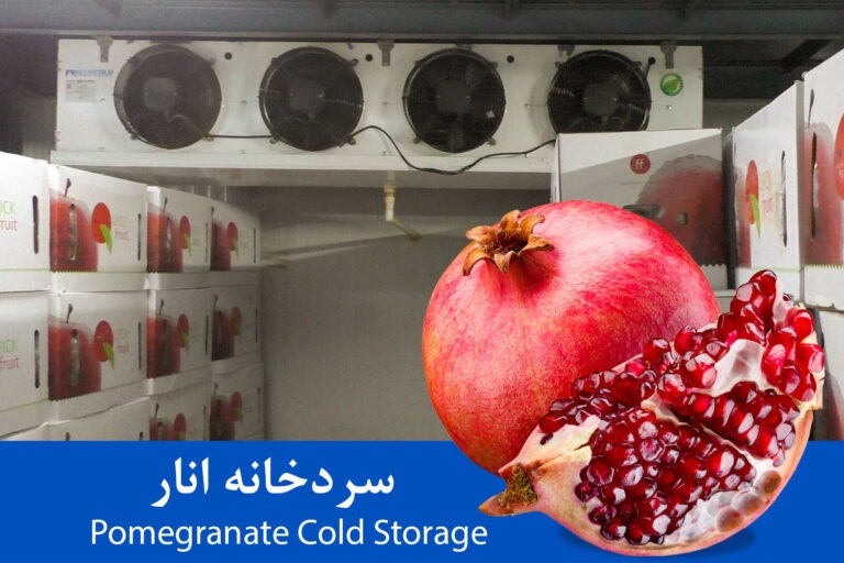 سردخانه میوه نگهداری انار