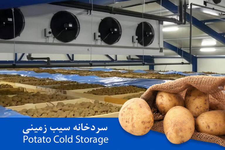 سردخانه سیب زمینی